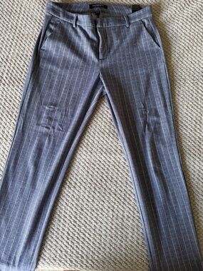 Stitch Fix Liverpool Blue and White Pinstripe Women's Trousers